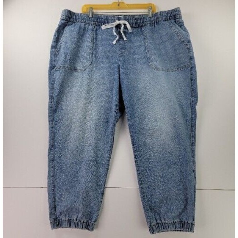 Lane Bryant Jogger Womens 24 Mid-rise Boyfriend Medium Wash Denim Elastic Waist